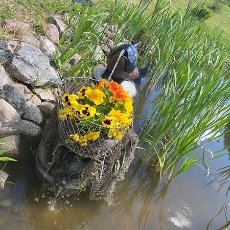 Prázdninový dům Haus Masur *