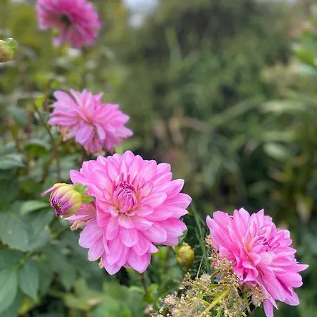 Haus Masur Casa de Férias Mikołajki