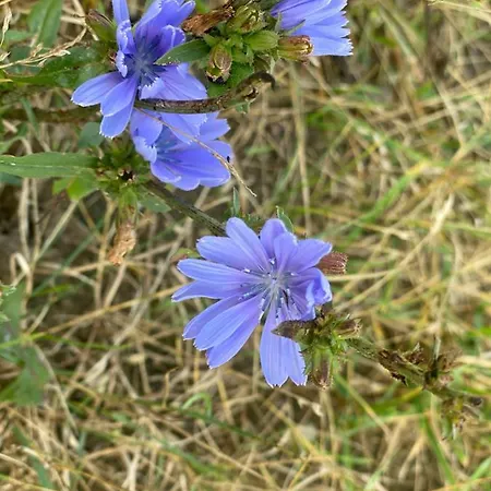 Haus Masur Casa de Férias Mikołajki