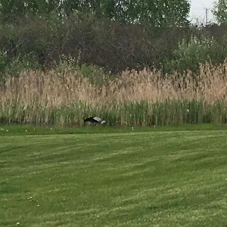 Prázdninový dům Haus Masur *