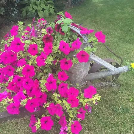 Prázdninový dům Haus Masur *