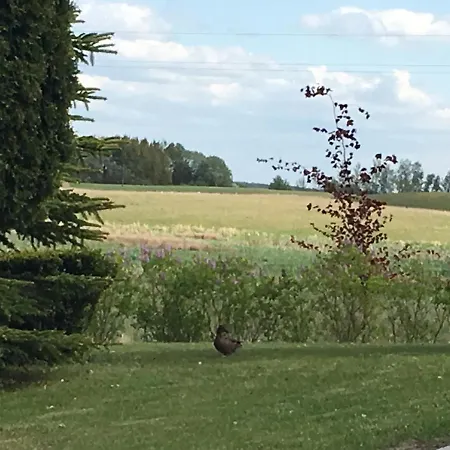 Haus Masur Prázdninový dům