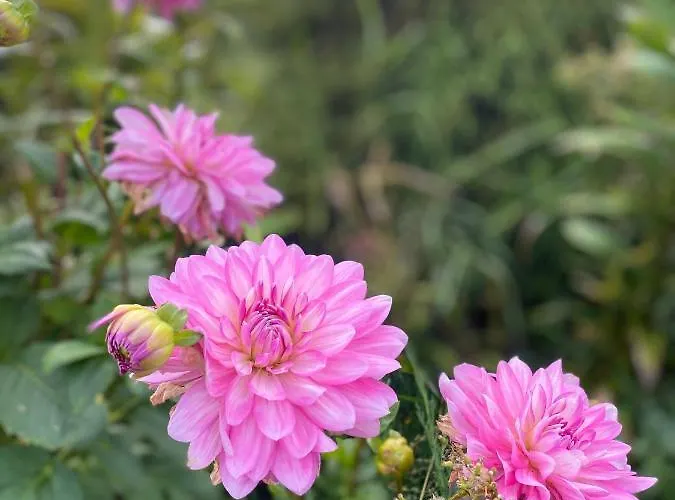 Haus Masur Ferienhaus Mikołajki