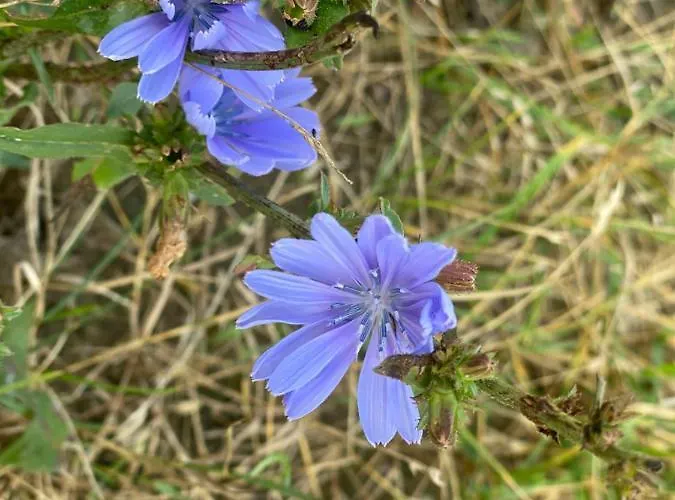 Haus Masur Σπίτι διακοπών Mikołajki