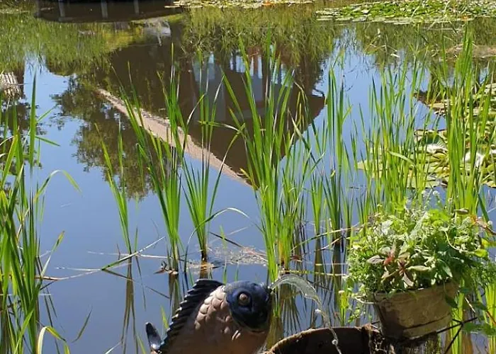 Ferienhaus Haus Masur Mikołajki