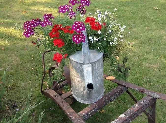 Haus Masur Dom wakacyjny *