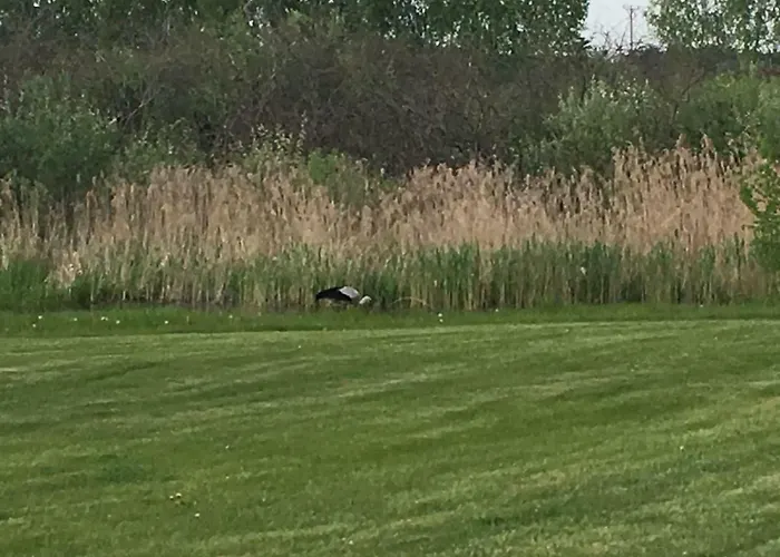 Dom wakacyjny Haus Masur *