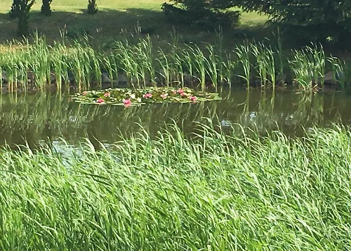 Dom wakacyjny Haus Masur Mikołajki