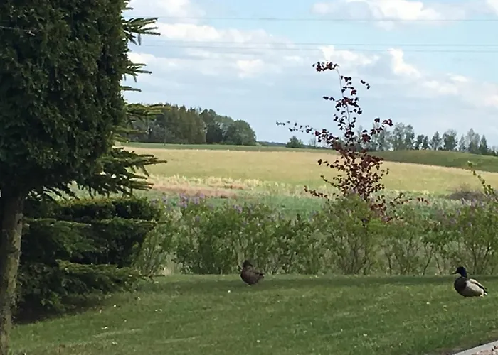 Haus Masur Σπίτι διακοπών